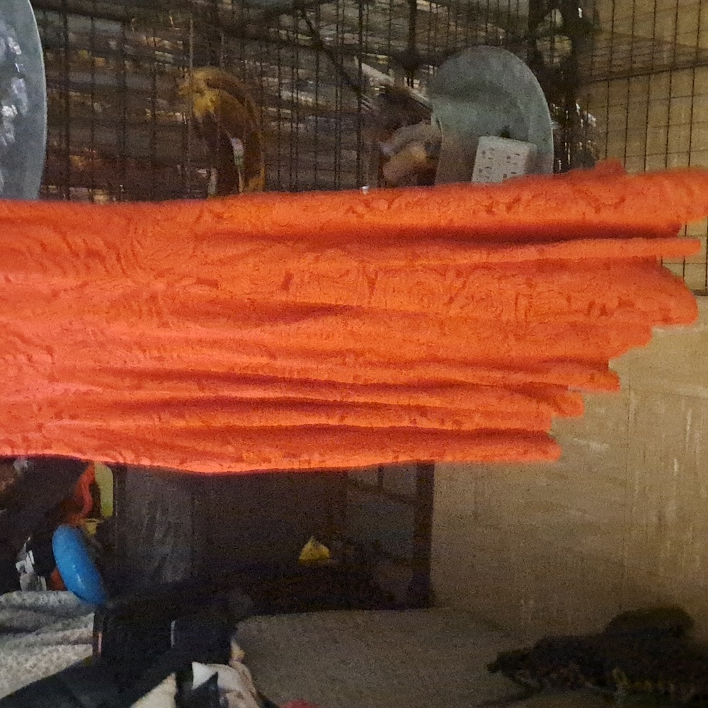 Cache brand, long, red dress - Picture 4 of 4